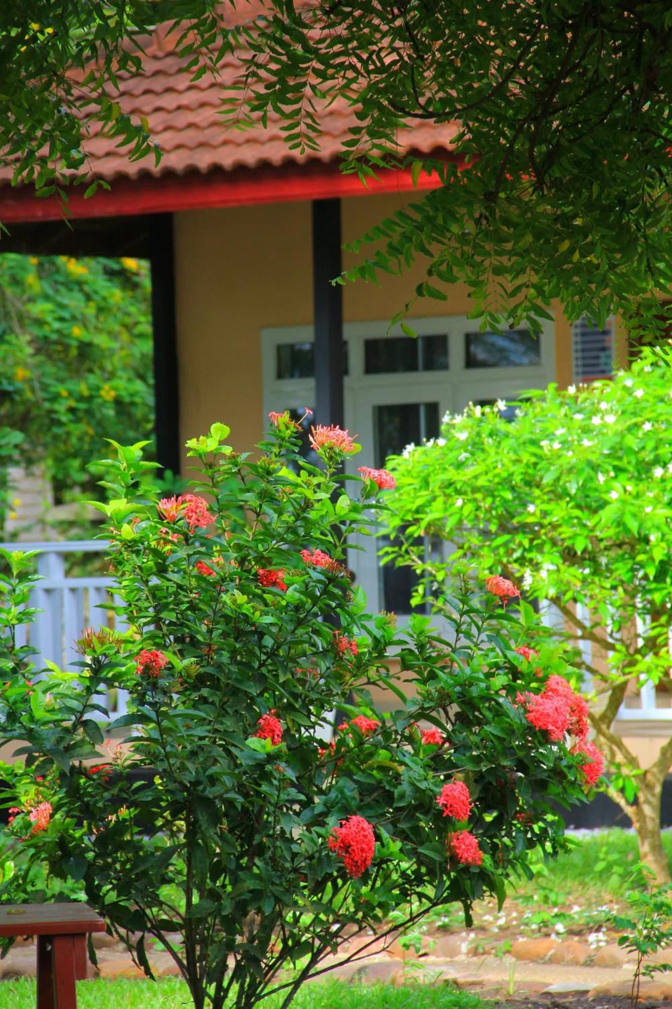 Charlestina Beach Resort Ampeni Exterior photo